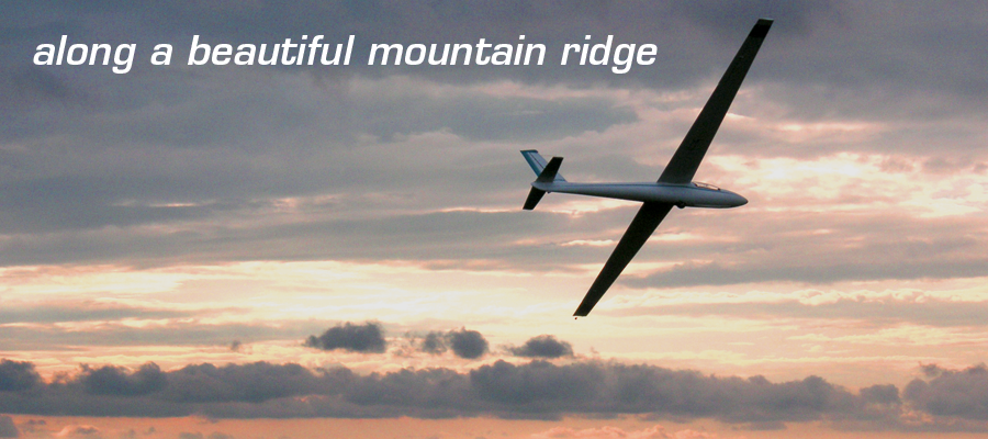 A glider ridge soars in front of a beautiful sunset